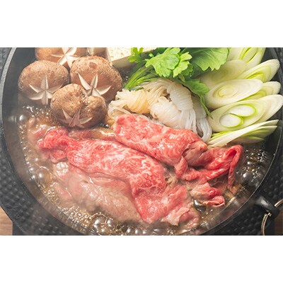 【毎月定期便】【A4～A5】博多和牛しゃぶしゃぶすき焼き用【厳選部位】500g全6回