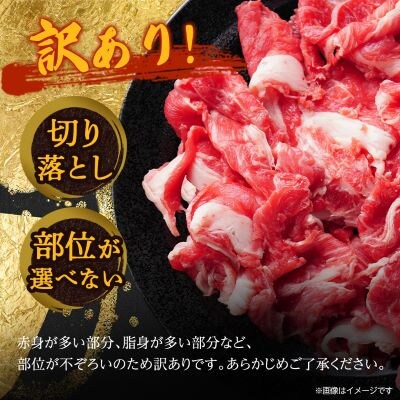 【毎月定期便】訳あり!博多和牛切り落とし　1.2kg(600g×2p)全12回