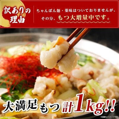 【毎月定期便】訳あり!博多味噌もつ鍋　10人前(2人前×5セット)全3回