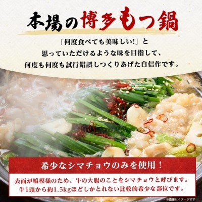 【毎月定期便】訳あり!博多醤油もつ鍋　10人前(2人前×5セット)全3回