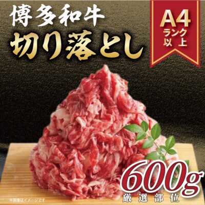 【毎月定期便】博多和牛切り落とし　600g全6回