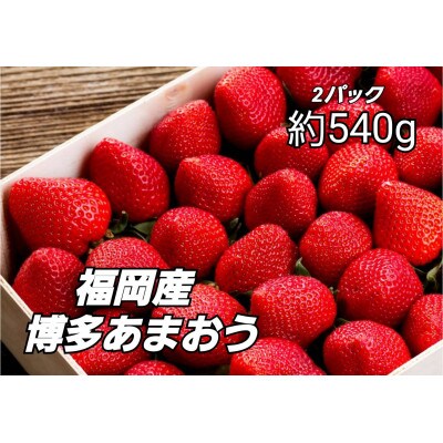 【11月下旬より順次発送】農家直送 朝採り新鮮いちご【博多あまおう】約270g×2パック