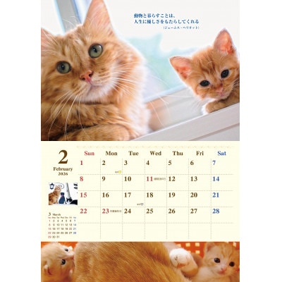 ねこともクッキー&ねこともカレンダー(保護猫&地域猫)