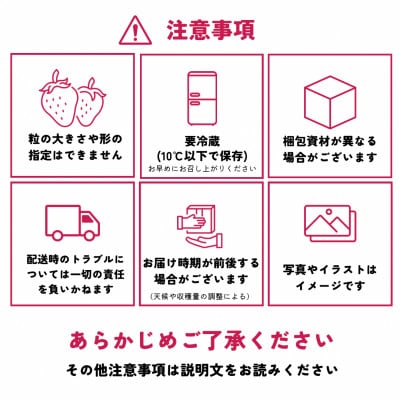 【先行予約/2025年】福岡県産あまおう 約270g×4パック《2025年2月以降順次発送》
