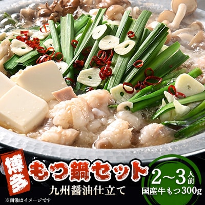 博多もつ鍋セット(九州醤油仕立て)2～3人前　国産牛もつ300g