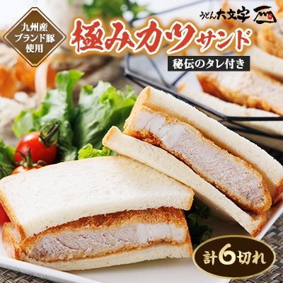 うどん大文字　極みかつサンド　6切れ(900g)