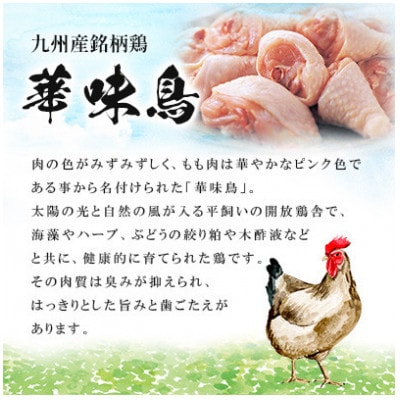 博多華味鳥 水たきセット 3～4人前 柚胡椒付(大野城市)