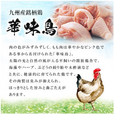 【毎月定期便】博多華味鳥 水たきセット 3～4人前 柚胡椒付(大野城市)全3回