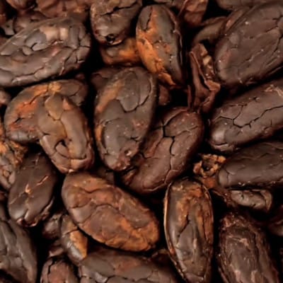 クラフトチョコ