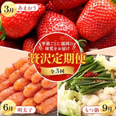 【発送月固定定期便】季節ごとに福岡の味覚をお届け!あまおう・明太子・もつ鍋の贅沢定期便全3回
