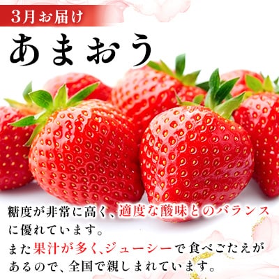 【発送月固定定期便】季節ごとに福岡の味覚をお届け!あまおう・明太子・もつ鍋の贅沢定期便全3回