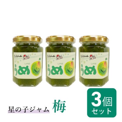 福井県産うめのジャム3個セット