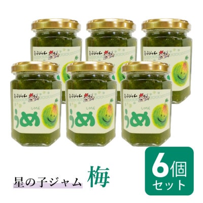 福井県産うめのジャム6個セット