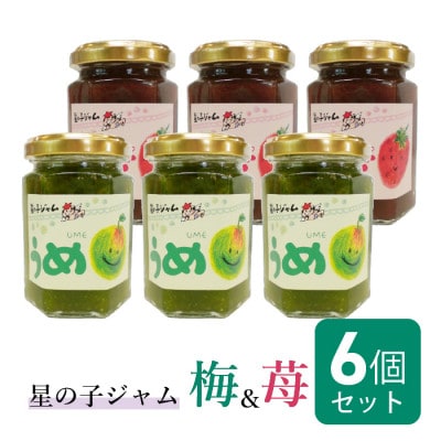 福井県産のうめジャム&いちごジャムセット