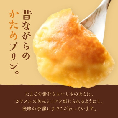せっちゃん家一番人気のチーズケーキ 6号 600gとみるくたっぷりぷりんの3個セット