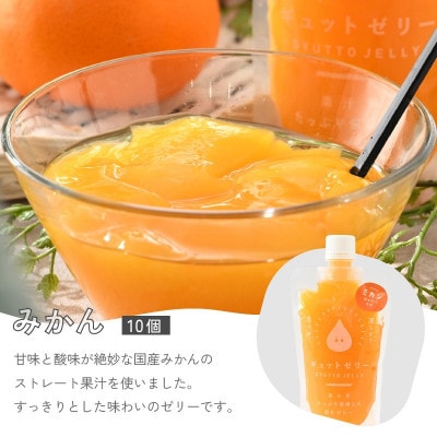 飲むみかんゼリー詰め合わせ(10個入り)