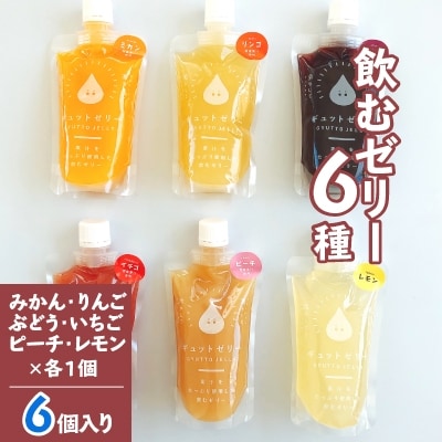 【2024年8月上旬発送】飲むゼリー6種詰め合わせ(6個入り)