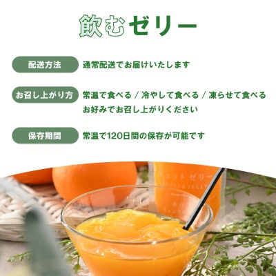 小さめ飲むゼリー(5種10個入り)