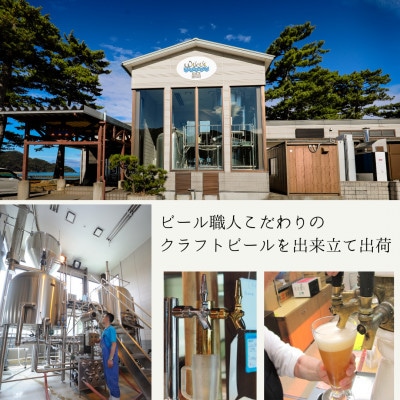 若狭ビール12本セット
