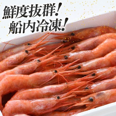 大好評!越前甘エビ　1kg【卵あり大サイズ】(1箱約30尾入りを2箱お届けします)