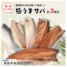 極うまサバ【塩味&醤油みりん味】半身6パック(3尾)