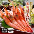 【先行受付】11月～順次発送　大好評!越前甘エビ1.5kg【卵なし中】(1箱約35尾入×3箱)