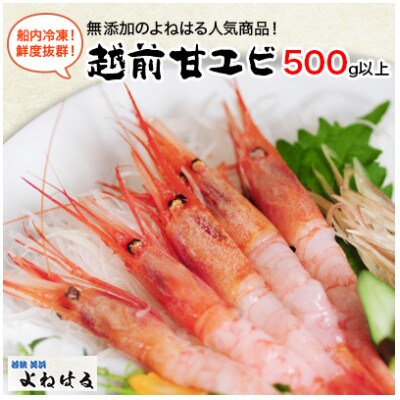 よねはるお薦めの越前甘エビ 大サイズ 卵なし 500g以上 お礼品詳細 ふるさと納税なら さとふる