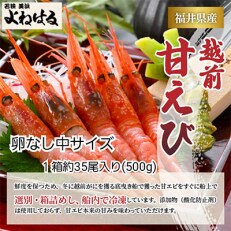 大好評!越前甘エビ[卵なし中サイズ]約35尾/1箱