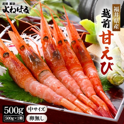 【先行受付】11月～順次発送　大好評!越前甘エビ【卵なし中】約35尾/1箱