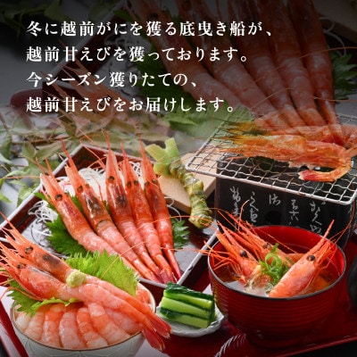 【先行受付】11月～順次発送　大好評!越前甘エビ【卵なし中】約35尾/1箱