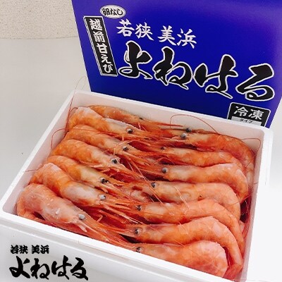 大好評 越前甘エビ 中サイズ 卵なし 500g 1箱 お礼品詳細 ふるさと納税なら さとふる