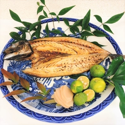 漁師がつくる、おまかせ干物セット