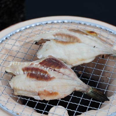 漁師がつくる、おまかせ干物セット