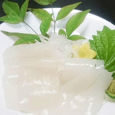 若狭湾の剣先イカ 生冷凍 800g以上 お礼品詳細 ふるさと納税なら さとふる