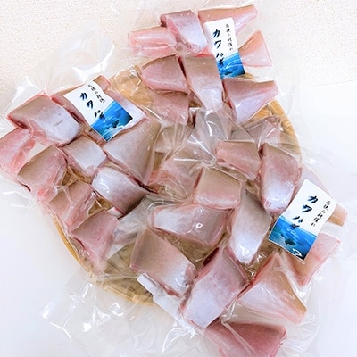 若狭湾のカワハギ(生冷凍)1.5kg
