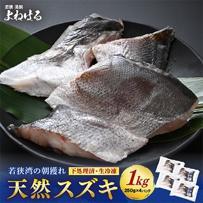 下処理済!生冷凍!だから人気!若狭湾の朝獲れ天然スズキ1kg(250g×4パック)
