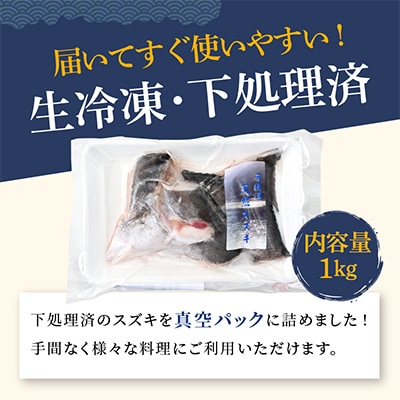 下処理済!生冷凍!だから人気!若狭湾の朝獲れ天然スズキ1kg(250g×4パック)