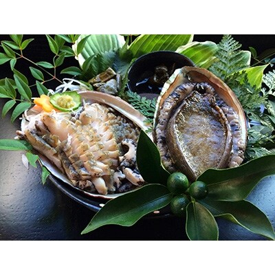 若狭湾の天然活アワビ (オスのみ 400g以上)