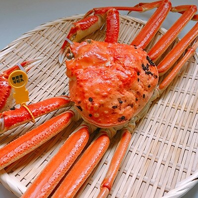 越前がに【小サイズ】1杯《冷凍》