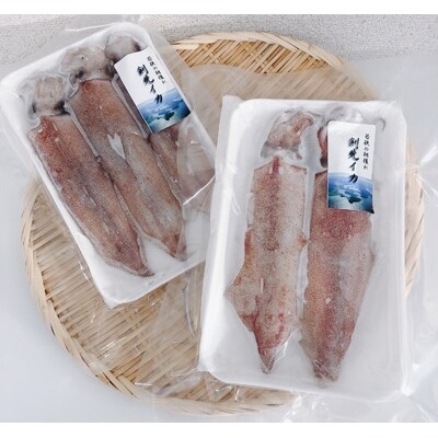 若狭湾の朝獲れ剣先イカ 生冷凍 小 中サイズ 800g以上 お礼品詳細 ふるさと納税なら さとふる