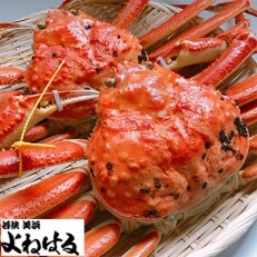 【1月上旬頃より順次お届け】越前がに(特大サイズ)約1.1〜1.3kg×2杯