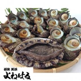 鮑 アワビ その他ドライフルーツのお礼品 返礼品一覧 ふるさと納税サイト さとふる