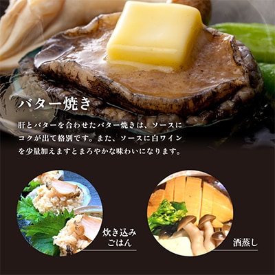 若狭湾の天然黒アワビ　約500g【冷凍・加熱用】