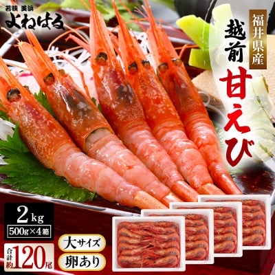 大好評!越前甘エビ　2kg【卵あり大サイズ】(1箱約30尾入りを4箱お届けします)