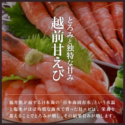 大好評!越前甘エビ　2kg【卵あり大サイズ】(1箱約30尾入りを4箱お届けします)