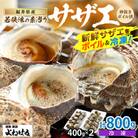 素潜り活サザエ800g(400g×2パック)　小振りサイズのみ厳選!身が柔らかくて地元では大人気!