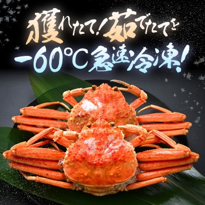 ≪冷凍≫漁期に獲れた越前セイコガニ中2杯を茹でてそのまま-60℃で急速冷凍しました!