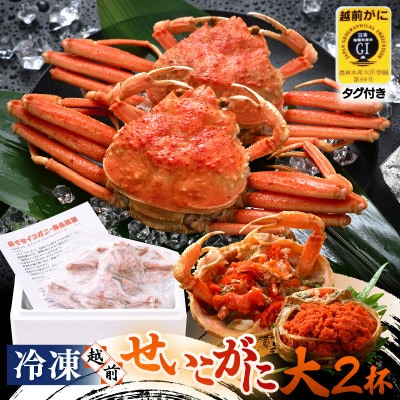 ≪冷凍≫漁期に獲れた越前セイコガニ大2杯を茹でてそのまま-60℃で急速冷凍しました!