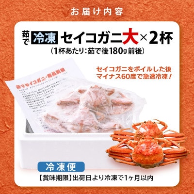 ≪冷凍≫漁期に獲れた越前セイコガニ大2杯を茹でてそのまま-60℃で急速冷凍しました!