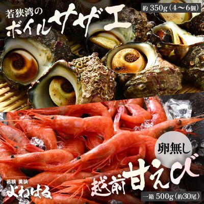 大人気!ボイルサザエ(4～6個)& 越前甘えび(卵なし大サイズ1箱)セット
